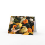 Colourful Autumn Gourds Notecard