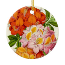 Colourful Azaleas in Pink, Orange and Gold