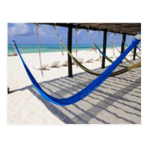 Colourful Beach Hammocks Cozumel Mexico Postcard postcards