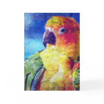 Colourful Bird Crackle Texture