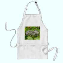 Colourful Birds aprons