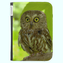 Colourful Birds caseable cases