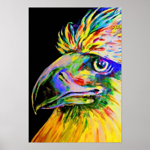 Colourful Birds Head and Beak Posters
