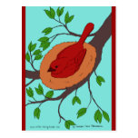 Colourful Bird's Nest Post Cards