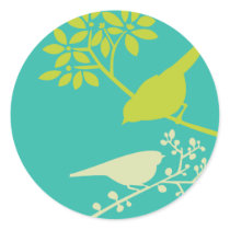 Colourful Birds