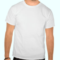 Colourful Birds t-shirts