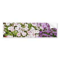 Colourful blend of begonias flowers bumper sticker