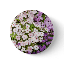 Colourful blend of begonias flowers button