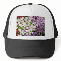 Colourful blend of begonias flowers mesh hats