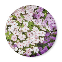 Colourful blend of begonias flowers fridge magnets