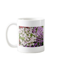 Colourful blend of begonias flowers mug