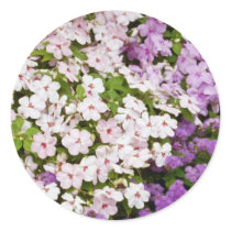 Colourful blend of begonias flowers round sticker