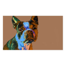 Colourful Boston Terrier Business Card Template