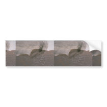 Colourful Brown Crackle Bumper Stickers