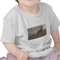 Colourful Brown Crackle T-shirts