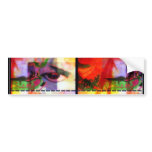 Colourful Bumper Stickers