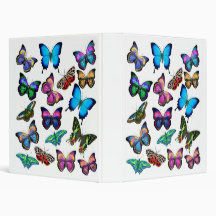 Colourful Butterflies & Moths Avery Binder