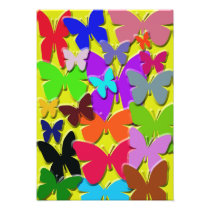 Colourful Butterflies Photo Print