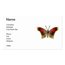 Colourful Butterfly Business Card