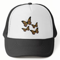 Colourful Butterfly Butterflies
