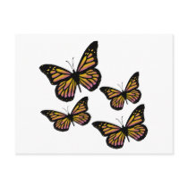 Colourful Butterfly Butterflies