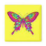 Colourful Butterfly Magnet