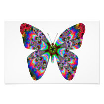 Colourful Butterfly Mandala Photograph