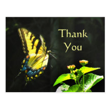 Colourful Butterfly Thank You Postcard