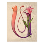 Colourful Calla Initial U Post Cards