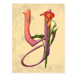 Colourful Calla Initial Y Post Cards