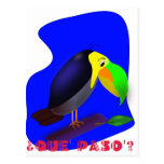Colourful cartoon Toucan Postcards