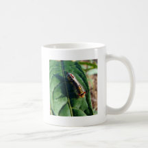 Colourful Caterpillar Coffee Mugs