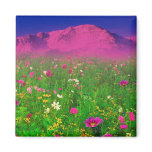 Colourful Colorado, Pikes Peak Mountain