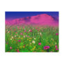 Colourful Colorado, Pikes Peak Mountain
