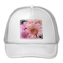 Colourful Daisies Baseball Hat