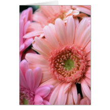 Colourful Daisies Greeting Card