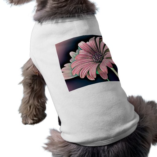 Colourful Daisy Dog Clothing