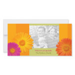 Spring Photo Cards