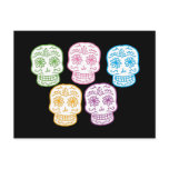 Colourful Day of the Dead Skulls