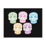 Colourful Day of the Dead Skulls