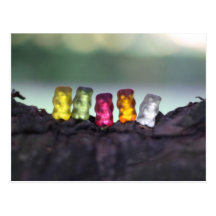 Colourful Diversity Gummy Bears Photography Post Card
