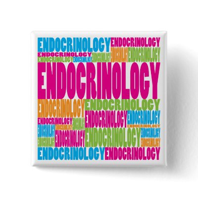 Colourful Endocrinology by busybees
