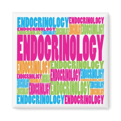 Colourful Endocrinology by busybees