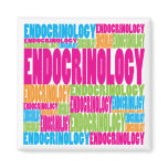 Colourful Endocrinology magnets