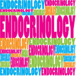 Colourful Endocrinology photo sculptures