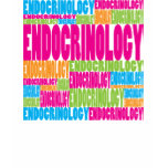 Colourful Endocrinology t-shirts