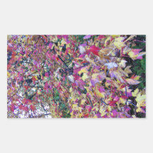 Colourful fall leaves rectangle sticker
