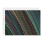 "Colourful Feathers" Artwork