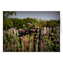 "Colourful Fence" Greeting Cards