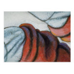Colourful Flannel Shirt Postcard